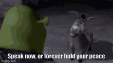 Shrek Donkey GIF - Shrek Donkey Speak Now Or Forever Hold Your Peace GIFs