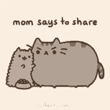 Cat And GIF - Cat And Mom GIFs