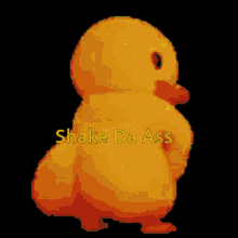 Ducky GIF - Ducky GIFs