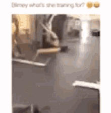 a woman is standing on a treadmill in a gym and asking what she is training for .