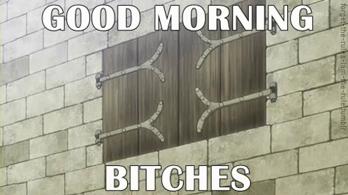 good-morning-bitches.gif