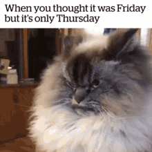 thursday friday funny when you thought its fridayn its only thursday
