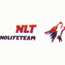No Life Team GIF - No Life Team GIFs