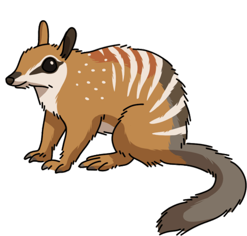 Numbat Banded Anteater Sticker - Numbat Banded Anteater Stickers