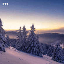 a picture of a snowy forest with the number 333 on the bottom