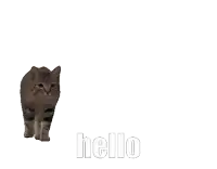 a close up of a cat 's face with the word hello above it
