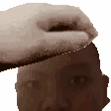 faqih faqih tolol faqih faqih tolol