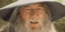 Gandalf Lord Of The Rings GIF - Gandalf Lord Of The Rings Bop GIFs