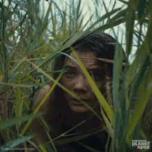 Coming Out Of Hiding Mae GIF - Coming Out Of Hiding Mae Kingdom Of The Planet Of The Apes GIFs