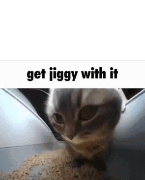 Cat Get Jiggy With It Sticker - Cat Get Jiggy With It Stickers