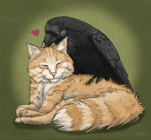 Cat Crow GIF