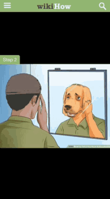 Dog Memes GIF - Dog Memes GIFs
