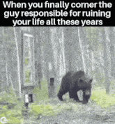 a picture of a bear in the woods with the caption when you finally corner the guy responsible for ruining your life
