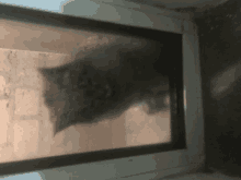 a cat is looking through a window with a reflection of it