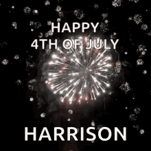 Happy4th Of July Independence Day GIF - Happy4th Of July Independence Day Fireworks GIFs
