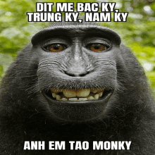 Ae Monky GIF - Ae Monky GIFs