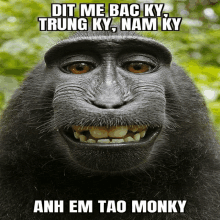 The best Monke memes :) Memedroid