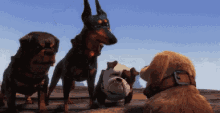 Up Movie GIF - Dogs Up What GIFs