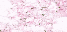 Cherry Blossoms After Winter Bl GIF - Cherry Blossoms After Winter Bl Kdrama GIFs