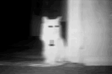 Cat Devil Cat GIF - Cat Devil Cat Inverted Cross GIFs