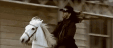 Prancing Horse Gallop GIF - Prancing Horse Gallop Horse Riding GIFs