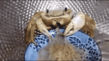 Incentraipark Crab GIF - Incentraipark Crab Billie Eilish GIFs