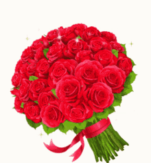 Roses Flowers GIF - Roses Flowers Red Roses GIFs