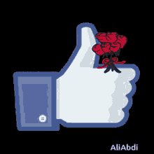 a thumbs up sign with a bouquet of red roses