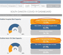 Sdicu Beds Percent South Dakota Icu Bed Percent GIF - Sdicu Beds Percent South Dakota Icu Bed Percent GIFs