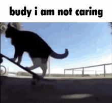 Not Caring Budy I Am Not Caring GIF - Not Caring Budy I Am Not Caring Dont Care GIFs