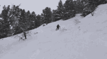 stoligamba sgush proskier skiing