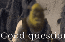 Shrek Good Question GIF