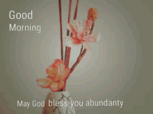 Morning Blessing GIF - Morning Blessing GIFs
