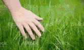 Touch Grass By Axe GIF - Touch Grass By Axe GIFs