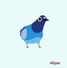 GIF