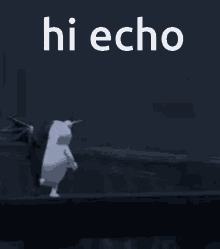 Echo Hi Echo GIF