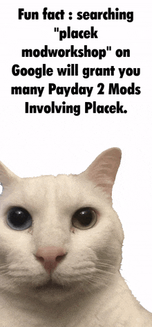 placek placek payday 2 placek modworkshop placek search placek payday 2 mod placek placek payday 2 placek modworkshop placek search placek payday 2 mod