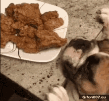 Dog Fried Chicken GIF - Dog Fried Chicken Cant Reach GIFs