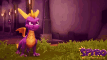 Spyro Spyro The Dragon GIF - Spyro Spyro The Dragon GIFs
