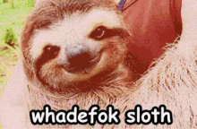 Whadefok Darth Sloth Wtf What The Fuck Whatdefok What The Fok GIF - Whadefok Darth Sloth Wtf What The Fuck Whatdefok What The Fok GIFs