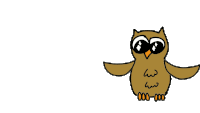 Owl Gif Sticker - Owl Gif Stickers