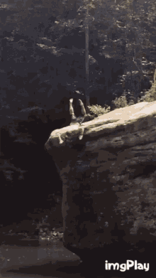 Fail There GIF - Fail There Was GIFs