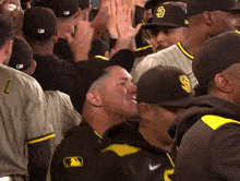a group of san diego padres baseball players give each other a high five