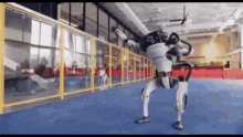 Igetlonely Robot GIF - Igetlonely Robot Dancing GIFs