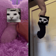Uncanny Cat GIF - Uncanny Cat GIFs