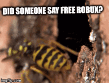 robux roblox wasp insects cute