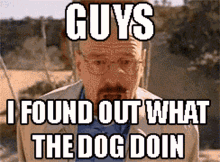 What The Dog Doin Guys GIF