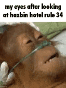 hazbin hotel rule34