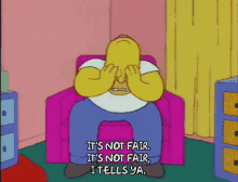 Homer Simpson Not Fair GIF