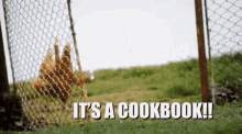 Chicken Cookbook GIF - Chicken Cookbook GIFs